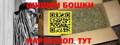 мдпв Кингисепп