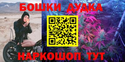мдпв Кингисепп