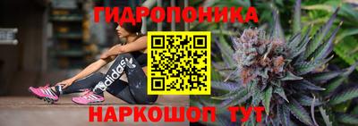 мдпв Кингисепп