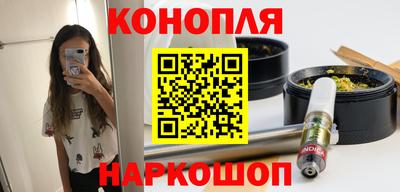 мдпв Кингисепп