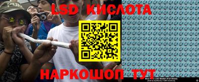мдпв Кингисепп