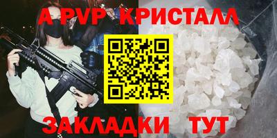 мдпв Кингисепп