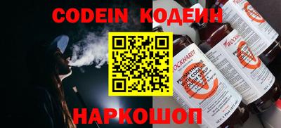 мдпв Кингисепп